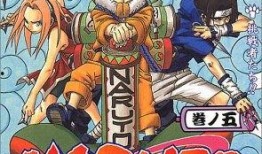 火影叶子爆料视频大全集,揭秘忍者世界背后的秘密与传奇