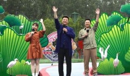 泽西最新爆料新闻视频播放,揭秘视频背后的惊人真相